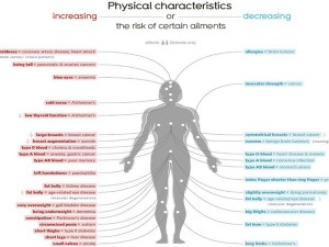 infografika_1