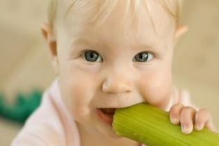 Zdrava biljka - celer