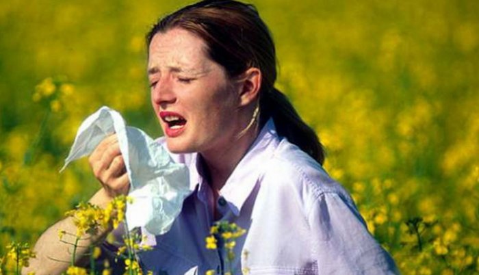 Kad polen svrbi u nosu i grlu