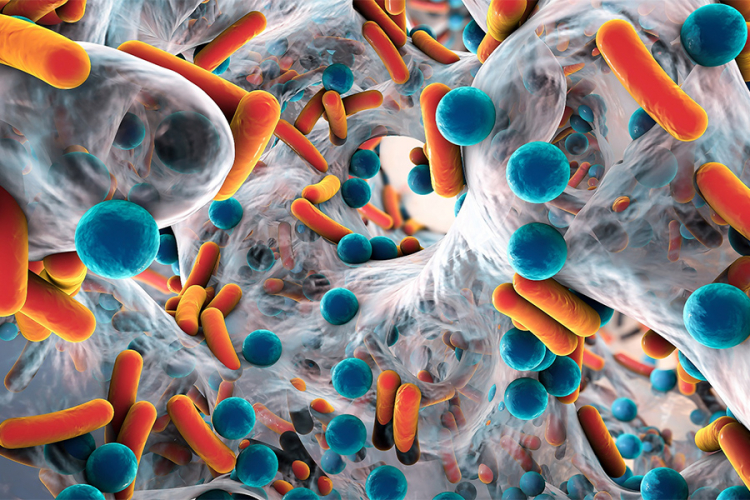 Bakterije otporne na antibiotike godišnje odnesu 33.000 života