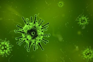 Kineski virus - Koliko bismo trebali biti zabrinuti?