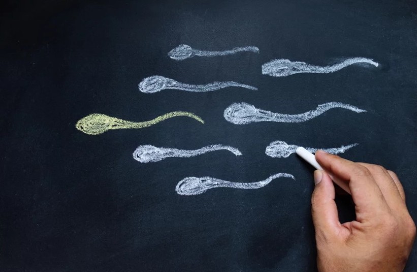 Suplementi koji sadrže cink i folnu kiselinu ne poboljšavaju plodnost muškaraca