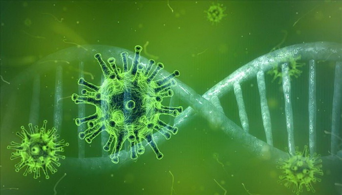 Holandski naučnici tvrde da su otkrili ljudska antitijela koja blokiraju koronavirus da uđe u ćelije