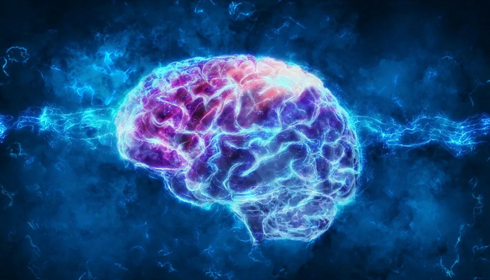 Radoznalošću i znatiželjom održavajte zdravlje svog mozga
