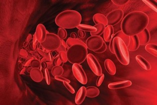 Šta su eritrociti - crvena krva zrnca i koliko su značajni?