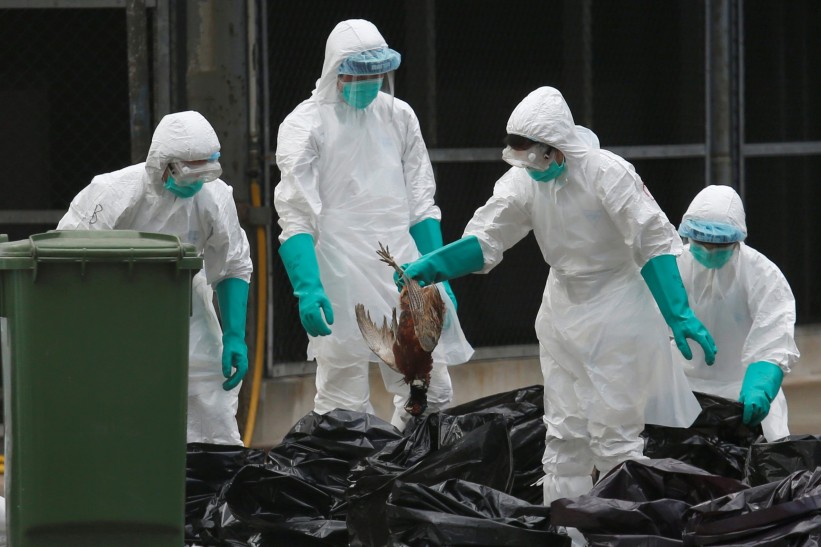 Francuska proglasila visok nivo rizika od ptičjeg gripa