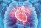 Osobe s neurotičnim osobinama pokazuju ubrzan proces starenja srca