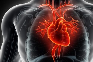 U Europi svaki dan umre 10.000 ljudi od kardiovaskularnih bolesti