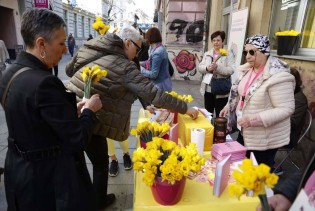 'Dan narcisa' u Sarajevu, simbol nade oboljelih od karcinoma