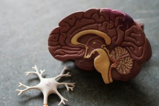Istraživanje pokazalo: Poremećaji nervnog sistema sada su vodeći uzrok bolesti u svijetu
