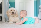 Prednosti odrastanja djece uz pse: Zašto je to izvanredno iskustvo?