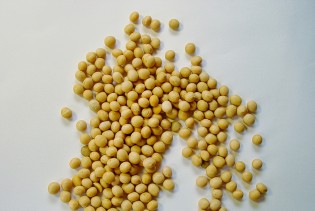 Konzumiranje sojinih proizvoda povezano je s manjim rizikom od raka