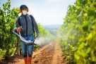 Izloženost pesticidima povećava rizik od raka više nego pušenje