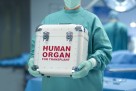 Donorsku karticu u BiH ima oko 80.000 građana, najviše pacijenata čeka transplantaciju bubrega