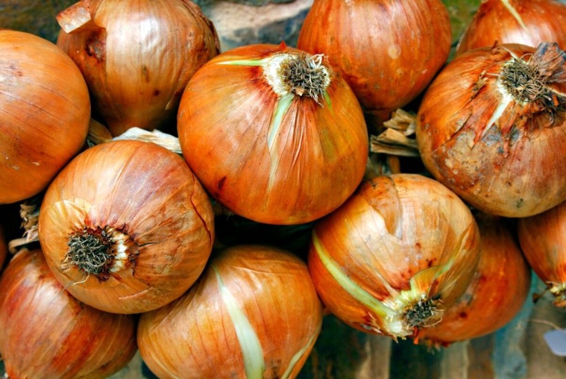 Izbjegavajte crni luk u ovakvom stanju, može izazvati trovanje