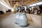 Nutritivne vrijednosti mlijeka razlog su sve veće potrošnje u svijetu i regiji