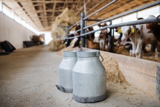 Nutritivne vrijednosti mlijeka razlog su sve veće potrošnje u svijetu i regiji