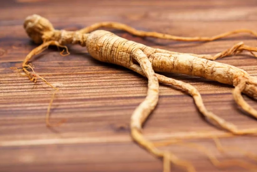 Dokazano: Ginseng jača imunitet bolje od bijelog luka
