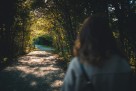 Tiha šetnja šumom gasi upalu i vraća snagu