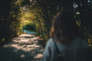 Tiha šetnja šumom gasi upalu i vraća snagu