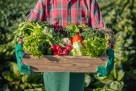 Zaboravite na avokado i maslinovo ulje – ova supernamirnica je zdravija i jeftinija