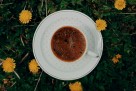 Kafa od maslačka – prirodni saveznik jetre i probave