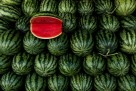 Lubenica pomaže u prevenciji raka