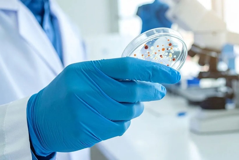 Može li vještačka inteligencija pomoći u borbi protiv superbakterija?