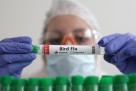 Koliko brzo ptičija gripa može zahvatiti ljude? Naučna istraživanja daju odgovor
