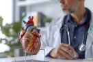 Zašto su bolesti srca i dalje najveći ubica u EU