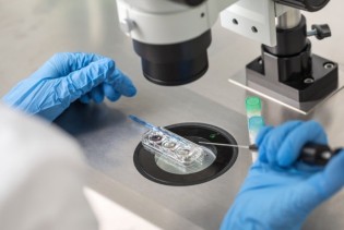 Plodnost na čekanju: Šta kada žene više ne žele svoje zamrznute embrione?