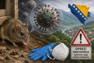 Svijet strepi, alarm i u BiH: Šta raditi da se ne zarazite hantavirusom?