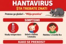 Hantavirus - Šta treba znati i kako se zaštititi?