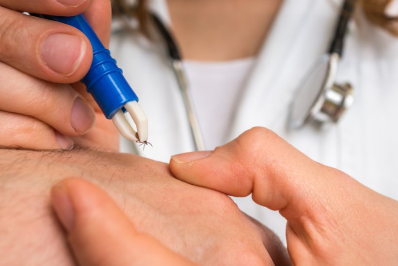 Virus koji prenose krpelji zabilježen u Austriji: Naučnici pozivaju na oprez