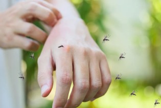 Virus Zapadnog Nila sve bliže: Ovo su simptomi koje ne smijete ignorisati
